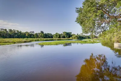 a view of a river with trees in the background at Near Kayak Launch Riverfront Home in Sanford! in Sanford
