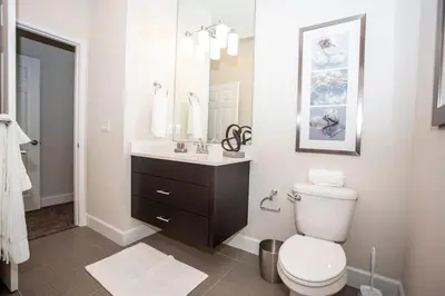 a bathroom with a toilet and a sink and a mirror at Serene Villa with Private Pool in Orlando