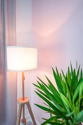 a lamp sitting next to a potted plant in a room at Orlando Apt 9th Floor 5 min from Disney in Orlando
