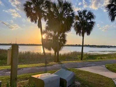 a sunset over a lake with palm trees and a bench at Charming Lakeview Retreat III in Orlando