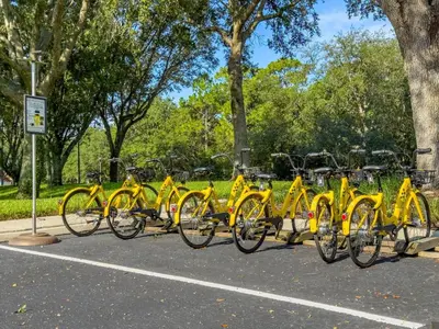 a row of yellow bikes parked in a parking lot at 8538 Crystal Cove in Kissimmee