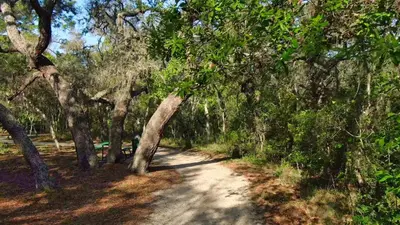 a dirt road through a forest with trees at 8569 Crystal Cove in Kissimmee