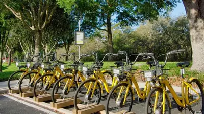 a row of yellow bikes parked in a park at 8569 Crystal Cove in Kissimmee