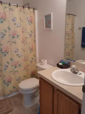 a bathroom with a toilet and a sink and a shower curtain at Three-Bedroom House in Clear Creek in Orlando