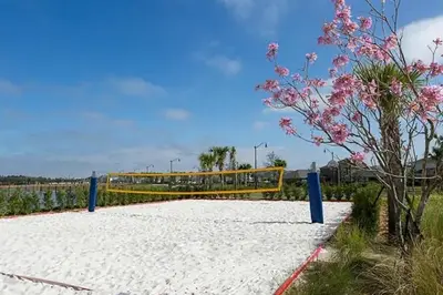 a volleyball net on the beach with a tree at 4323SL-Storey Lake Resort townhouse in Kissimmee