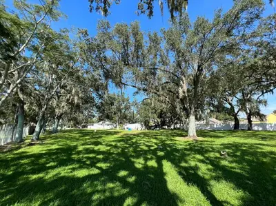 a field of grass with trees in a park at Home in Kissimmee with Huge Backyard in Kissimmee