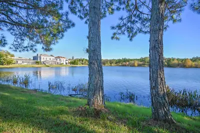 a view of a lake with two trees at Disney World Getaway: 4 Br - Sunroof - BBQ Bliss in Orlando