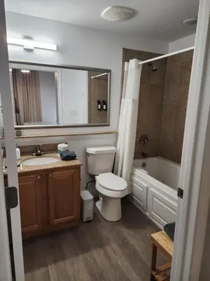 a bathroom with a toilet and a sink and a tub at Orlando 3rd Floor - Blue Heron in Orlando