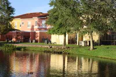 a duck swimming in a river in front of a building at UniDisL 3Br3B near Disney quiet resort community, pool, private hot tub, BBQ & games in Kissimmee