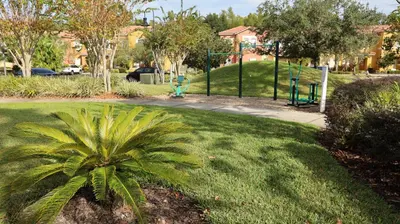 a palm tree in a park with a playground at UniDisL 3Br3B near Disney quiet resort community, pool, private hot tub, BBQ & games in Kissimmee