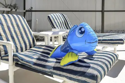 a blue fish toy sitting on a towel on a chair at 7832 Cozy Gem at Indian Ridge with Pool in Orlando