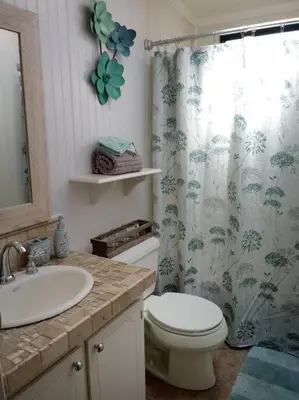 a bathroom with a toilet and a sink and a shower curtain at Disney Backyard Oasis in Orlando