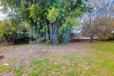 a group of trees with long poles in a field at Boat and Fish! Lake Druid Gem with Dog-Friendly Yard in Orlando