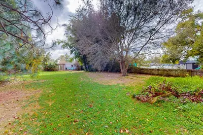a yard with a tree and a fence at Boat and Fish! Lake Druid Gem with Dog-Friendly Yard in Orlando
