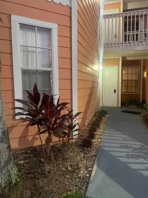 a house with a plant on the side of it at Disney enchantment getaway in Kissimmee