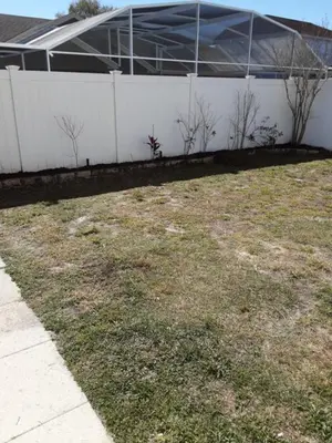 a grassy yard next to a white wall at Family Fun Vacation Home villa in Kissimmee