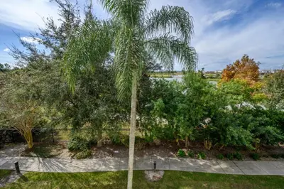 a palm tree in a garden with a fence at Epic Universe New Deluxe Condo, Vista Cay - 3022 in Orlando