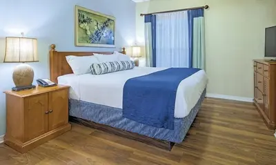 a bedroom with a large bed and a television at Beautiful Hotel of Cypress Palms 1BD near Kissimmee Lakefornt Park in Kissimmee