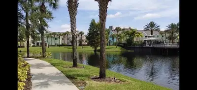 a group of palm trees next to a body of water at Casa p/ 4 · Perto da Disney · Cozinha completa in Kissimmee