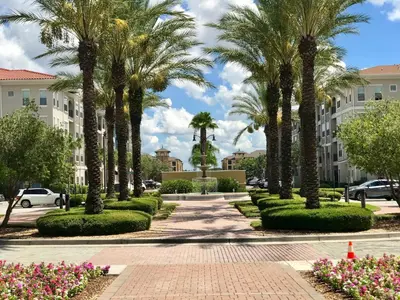 a walkway with palm trees in a parking lot at P42 New Townhouse at Vista Cay Walking distance to CCCO in Orlando
