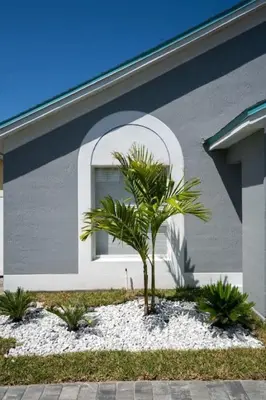 a palm tree in front of a house at Vacation Oasis Home with Private Pool and Grill 8615 in Kissimmee