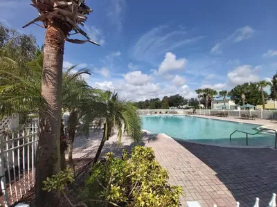 a swimming pool with a palm tree next to a fence at Smart home near Disney world, Silver Spurs Arena in Kissimmee