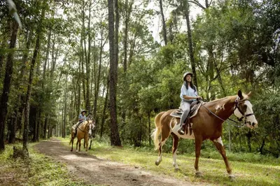 two people riding horses down a dirt road at The Cabins at Disney's Fort Wilderness Resort in Orlando