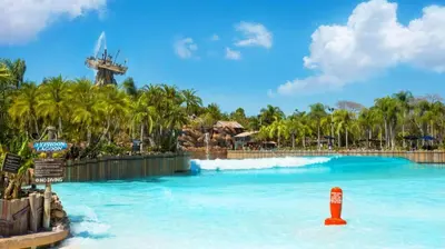 a large pool at a theme park with palm trees at Disney's Port Orleans Resort - Riverside in Orlando