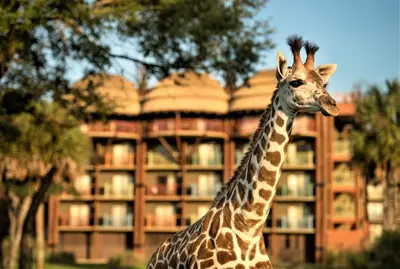 a giraffe standing in front of a building at Disney's Animal Kingdom Lodge in Orlando