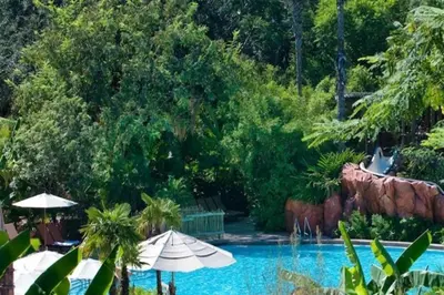 a swimming pool with umbrellas next to a resort at Disney's Animal Kingdom Villas - Jambo House in Orlando