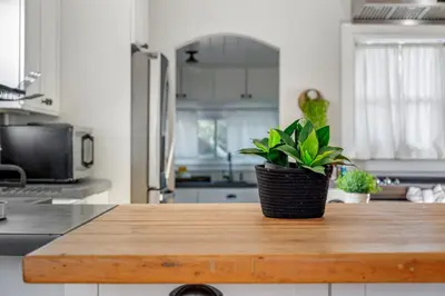 a kitchen with a potted plant sitting on a counter at Tiny Home w MIL suite - 3 MI to DT in Orlando