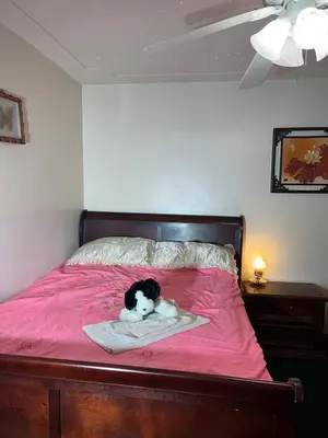 a black and white dog sitting on a pink bed at Red Brick House in Kissimmee