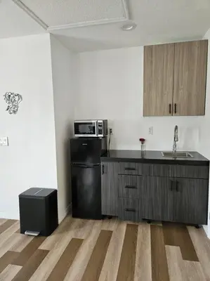 a kitchen with a black refrigerator and a microwave at Newly Renovated Modern Studio in Oviedo