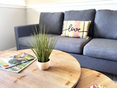 a table with a potted plant on top of a couch at Amazing! Disney 7 Min, Walmart 1 min, 3 Bed 2 bt in Orlando