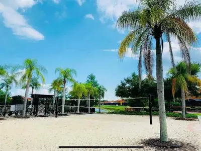 a palm tree on a beach with a volley ball court at Luxury 4 bedroom 3 bath pool Home 283 in Kissimmee