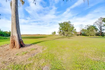 a tree in the middle of a field at Nature-Packed Family Escape Near Lake Tohopekaliga in Kissimmee