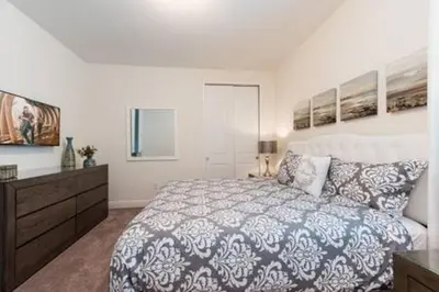 a bedroom with a large bed and a dresser at Contemporary Disney VacationHome in Orlando