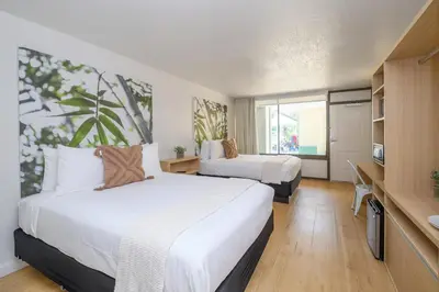 a hotel room with two beds and a tv at Modern- 2 Queen bed suite with pool near Disney World in Kissimmee