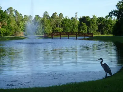 a bird standing in front of a lake with a bridge at Charming 4-Bedroom Villa with Pool & Spa, Only 15 Minutes from Disney! in Kissimmee