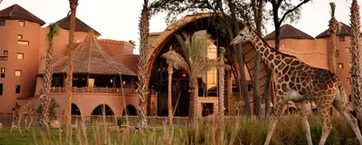 a giraffe walking in front of a building at Disney's Animal Kingdom Villas - Kidani Village in Orlando