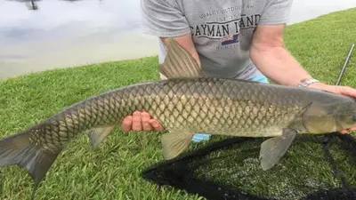 a man holding a large fish in his hand at 4701-Lake Berkley villa- Renovated 3 bed in Kissimmee