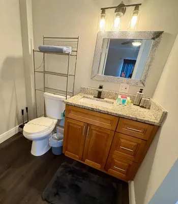 a bathroom with a toilet and a sink and a mirror at Beautiful Guest Suite with Private Driveway and Entrance in Orlando