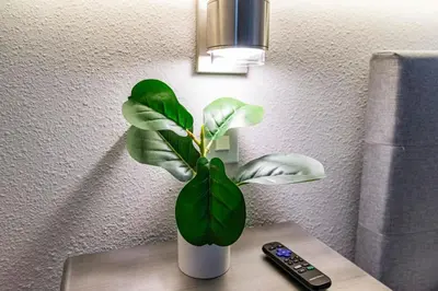 a plant sitting on a table next to a remote control at Thematic 4 bdr near Disney-22101 in Kissimmee