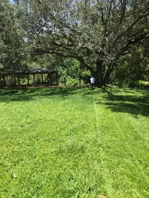 a grassy field with a tree in a park at Amazing Waterfront Apt near Disney and Lake Tohoa in Kissimmee