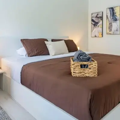 Luxury and Cozy Gem 15min to Disney Free Parking