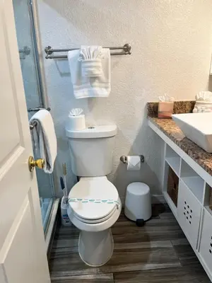 a bathroom with a white toilet and a sink at Universal-Disney Dream 3413 Studio - The Enclave in Orlando