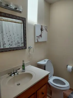 a bathroom with a sink and a toilet and a mirror at COZY BRIGHT SINGLE Room in Orlando