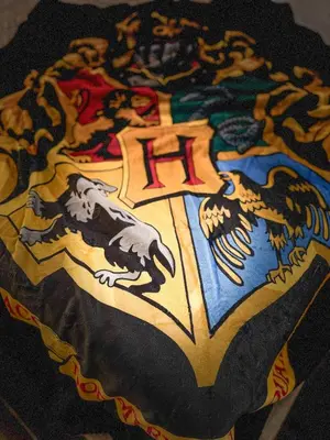 a plate with a dragon design on it at Harry Potter Suite near Epic & Universal in Orlando