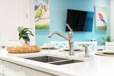 a kitchen sink with a faucet in a kitchen at Mint to Be in Orlando