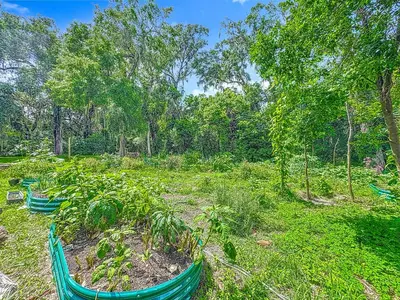 a garden with three green plants in a field at Comfy Studio Farm Stay in Orlando